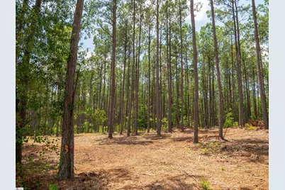 00 Cheek Road #Lot 12, Gray Court, SC 29645 - Photo 8