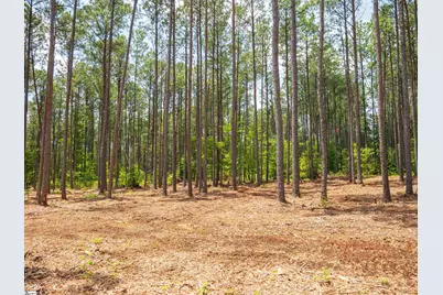 00 Cheek Road #Lot 13, Gray Court, SC 29645 - Photo 10