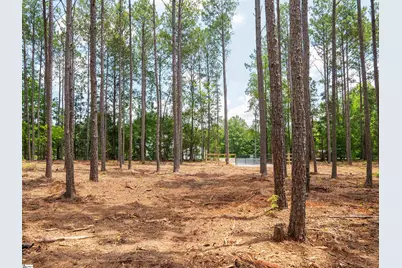 00 Cheek Road #Lot 13, Gray Court, SC 29645 - Photo 20