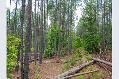 00 Cheek Road #Lot 13, Gray Court, SC 29645 - Photo 14
