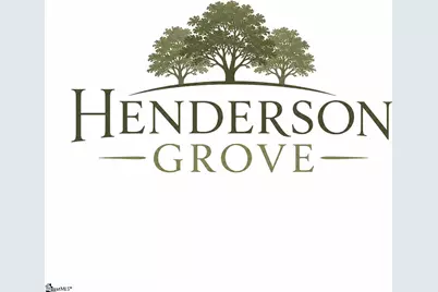 60 Henderson Road, Gray Court, SC 29645 - Photo 4