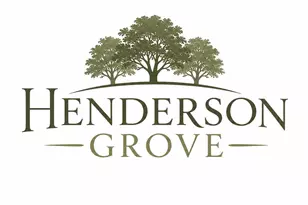 60 Henderson Rd, Gray Court, SC 29645 - Photo 4