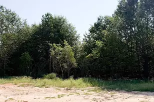 60 Henderson Rd, Gray Court, SC 29645 - Photo 6