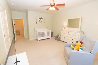 10 Sheldrake Place, Simpsonville, SC 29681 - Photo 28