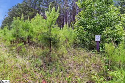 31 Waterside Point, Abbeville, SC 29620 - Photo 4