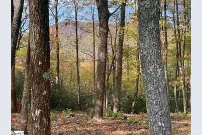 1526 Panther Park Trail, Travelers Rest, SC 29690 - Photo 2
