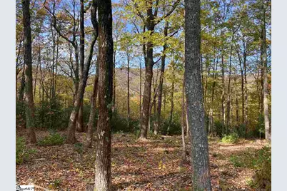 1526 Panther Park Trail, Travelers Rest, SC 29690 - Photo 1