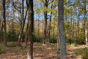1526 Panther Park Trail, Travelers Rest, SC 29690 - Photo 1
