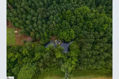 114 Tall Pines Road, Fountain Inn, SC 29644 - Photo 44