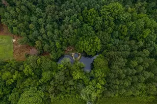 114 Tall Pines Rd, Fountain Inn, SC 29644 - Photo 44