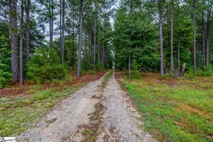 114 Tall Pines Rd, Fountain Inn, SC 29644 - Photo 40