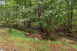 909 Morning Mist Ln, Simpsonville, SC 29680 - Photo 44