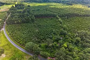 Charlie Rast Rd, Swansea, SC 29160 - Photo 1