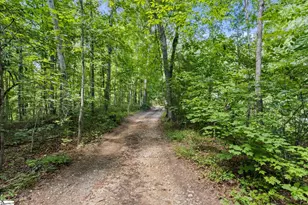 338 Little Crowe Creek Rd, Pickens, SC 29671 - Photo 22