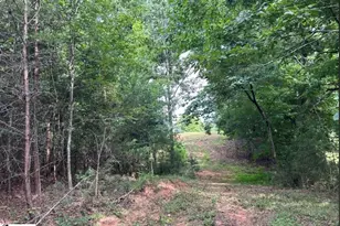 150 Williams Rd, Pelzer, SC 29669 - Photo 24