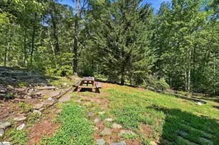 115 Parnell Bridge Rd, Marietta, SC 29661 - Photo 36