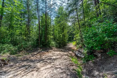 0 Fairway Woods Drive, Pickens, SC 29671 - Photo 1
