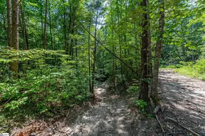 0 Fairway Woods Drive, Pickens, SC 29671 - Photo 8