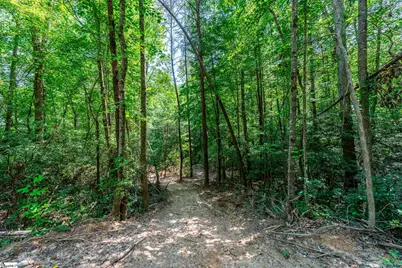 0 Fairway Woods Drive, Pickens, SC 29671 - Photo 10