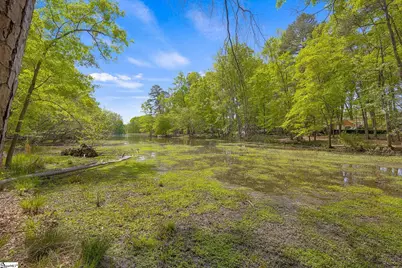 128 Edgecombe Road, Spartanburg, SC 29307 - Photo 46