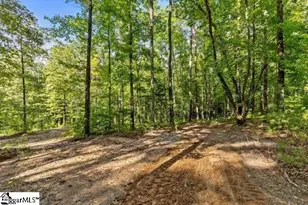 300 Chastain Hill Rd, Taylors, SC 29687 - Photo 30