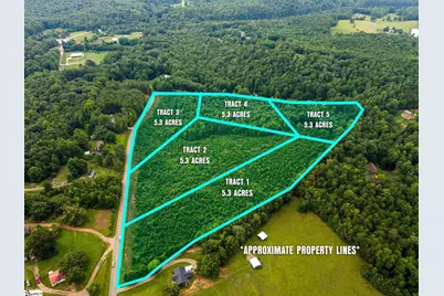 01 Hagood Mill Road, Pickens, SC 29671 - Photo 4