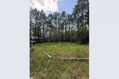 0 Walker Road, Edgefield, SC 29824 - Photo 6