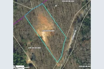 957 Lakeview Drive, Gray Court, SC 29645 - Photo 1