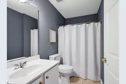 10 River Birch Way, Greer, SC 29650 - Photo 30