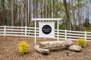 331 Bakerville Rd, Easley, SC 29642 - Photo 34