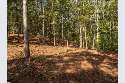Gibson Road #01, Anderson, SC 29625 - Photo 10