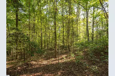 Gibson Road #02, Anderson, SC 29625 - Photo 10