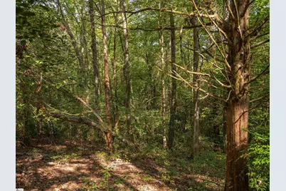 Gibson Road #03, Anderson, SC 29625 - Photo 10