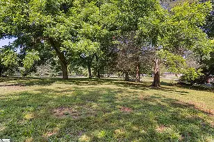 1000 River Rd, Piedmont, SC 29673 - Photo 14