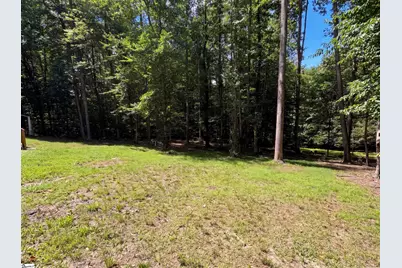 335 Dill Circle, Landrum, SC 29356 - Photo 32