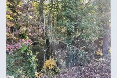 Brookforest Drive #Lot 10-F, Anderson, SC 29621 - Photo 2