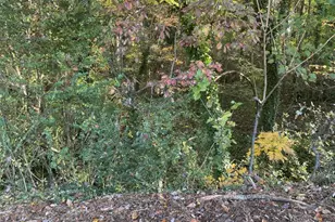 Brookforest Dr, Anderson, SC 29621 - Photo 1