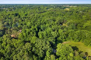 217 Old River Rd, Pelzer, SC 29669 - Photo 30