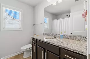 909 Deephallow Pl, Greer, SC 29651 - Photo 36