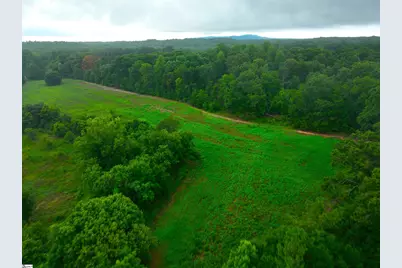 3961 Forrester Road, Greer, SC 29651 - Photo 8