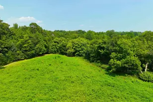 3961 Forrester Rd, Greer, SC 29651 - Photo 10