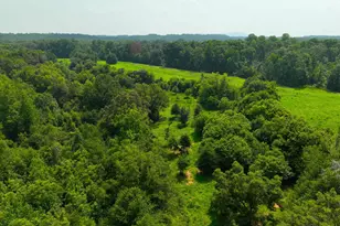 3961 Forrester Rd, Greer, SC 29651 - Photo 8