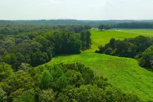 3961 Forrester Rd, Greer, SC 29651 - Photo 32