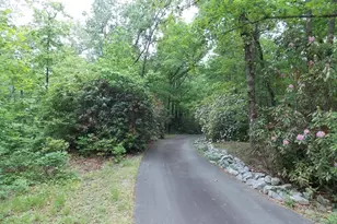 512 Doe Run, Pickens, SC 29671 - Photo 38