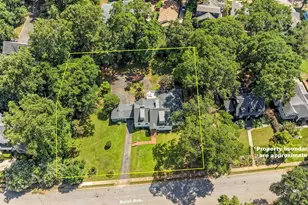 23 Buist Ave, Greenville, SC 29609 - Photo 46