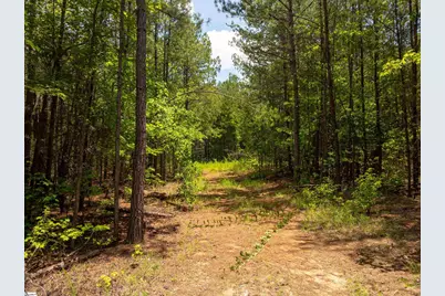14 Sloan Lake Road, Woodruff, SC 29388 - Photo 16