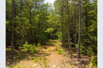 14 Sloan Lake Road, Woodruff, SC 29388 - Photo 18