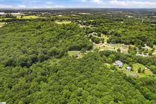 200 Sleepy Hollow Rd, Piedmont, SC 29673 - Photo 36