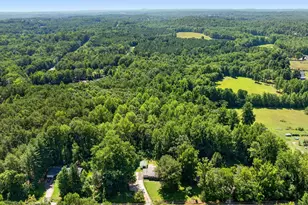 604 Belue Mill Rd, Landrum, SC 29356 - Photo 42
