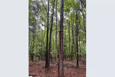 00 72 Highway, Clinton, SC 29325 - Photo 10